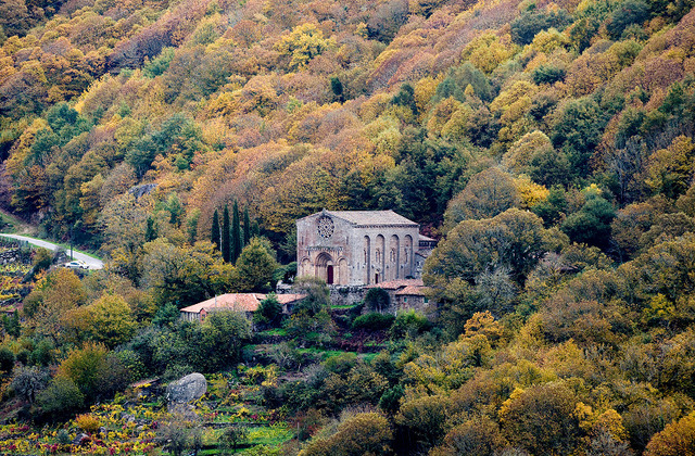 LA IDEA SOBRE LA BELLEZA