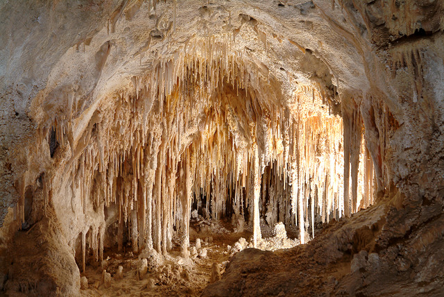 Billy Vacations in Carlsbad Caverns with His Parents