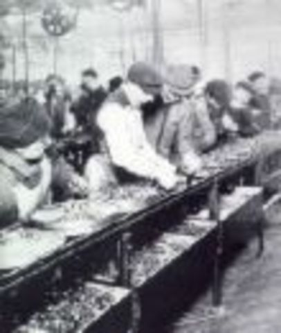 Henry Ford Develops the First Assembly Line