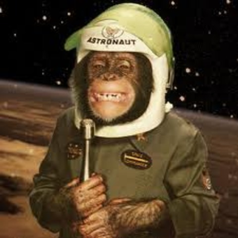 First primate in Space.