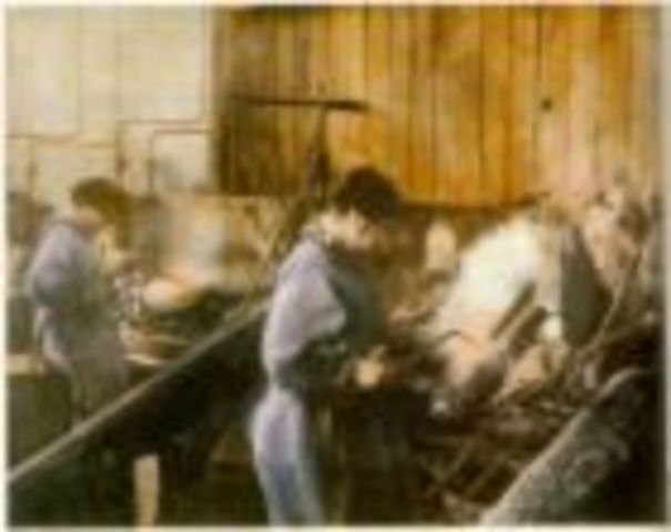 Women Enter the Workforce as America Enters World War I