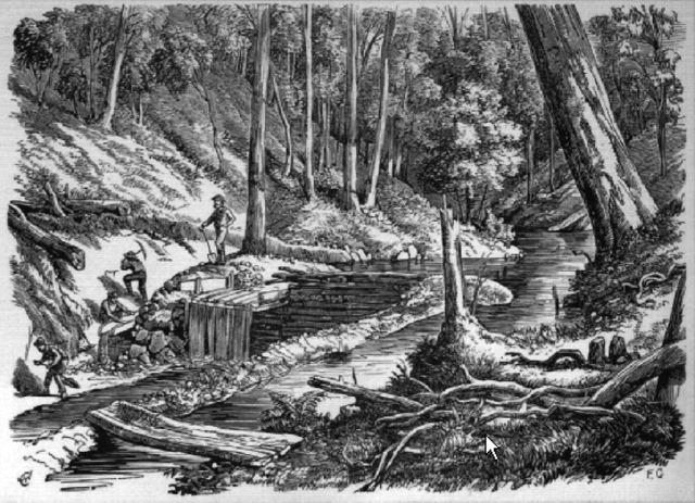 The Gold Find In Hartley