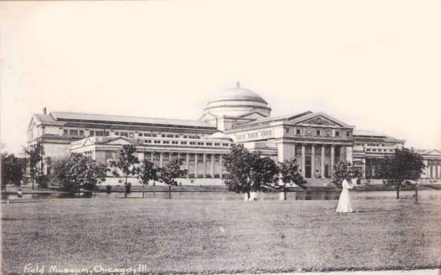 The feild museumm opens