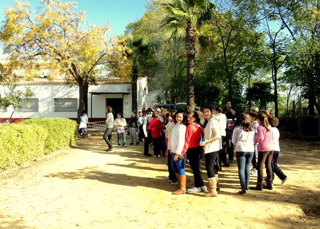 Finalizo la Primaria