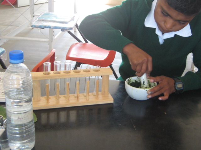 cuando entre a la telesecundaria