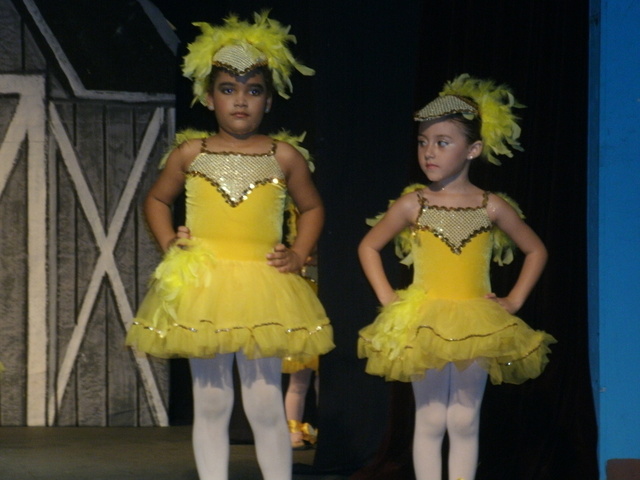 Las pollitas de la granja