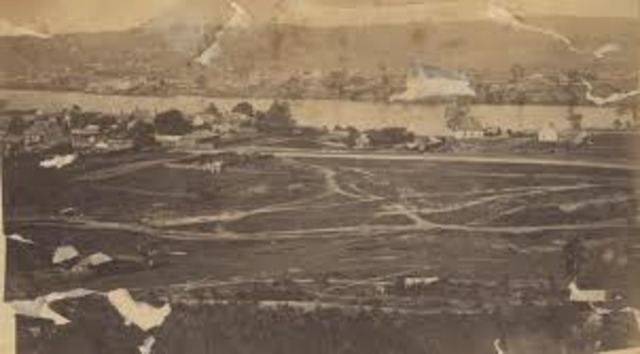 Brisbane's population