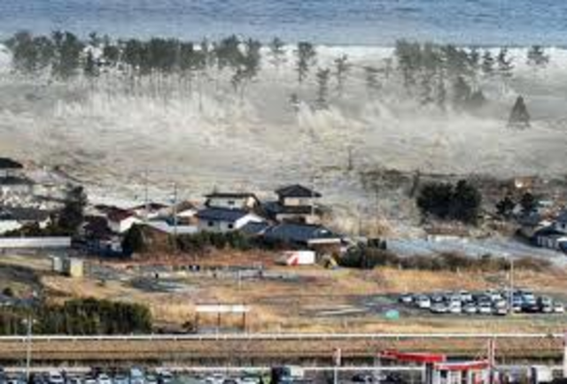 Tsunami Japon