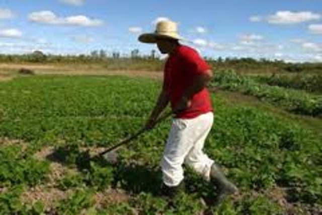 Reforma Agraria en Guatemala