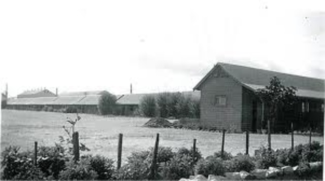 adelaid was discovered