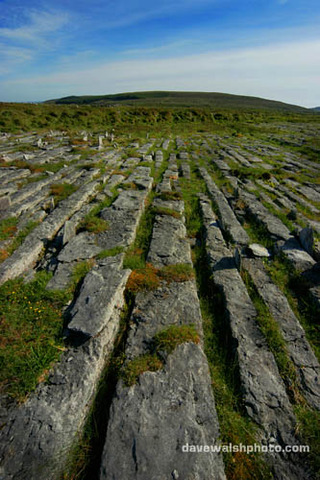 Burren rocks form