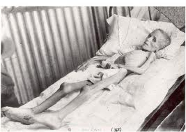 Himmler grants permission for sterilization experiments at Auschwitz