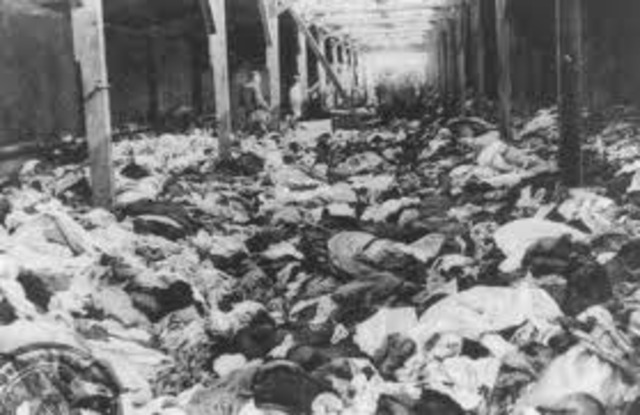 Mass killing of Jews at Auschwitz begins