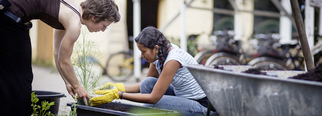 Qualifikationsprojekt: 4. Phase