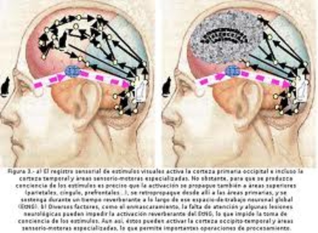 psicología científica