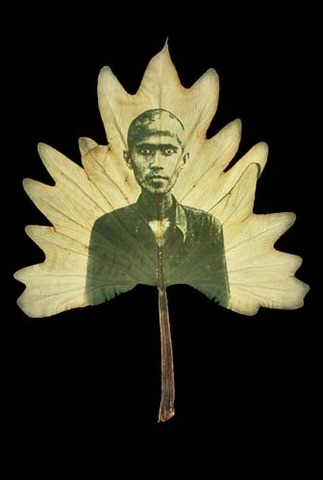 Proposed Date for Mission in the Garden Event