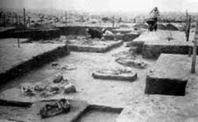 CULTURA VEGAS 8000-6000 A.C