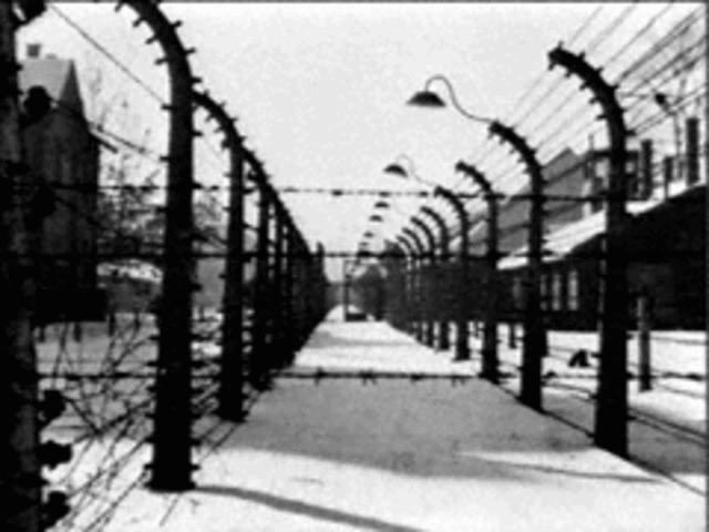 Vladek and Anja are sent to Auschwitz