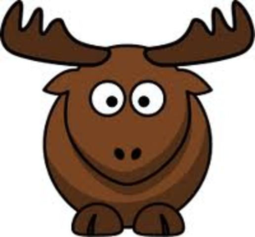 fifty shades of gray