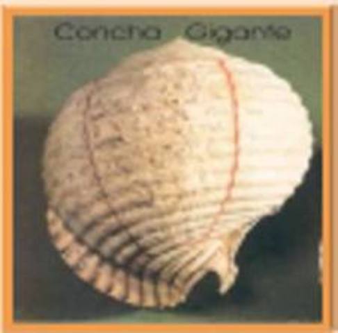 CULTURA JAMBELI 500A.C-500D.C