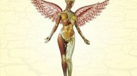 Timeline: Nirvana- In Utero