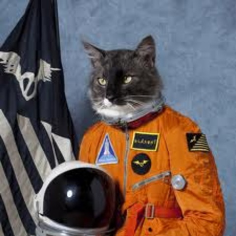 first cat in space