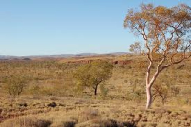 •Large amounts of gold found at the Murchison goldfield, WA.