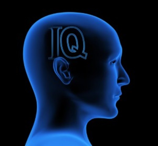 Intelligence Testing Determines Special Education