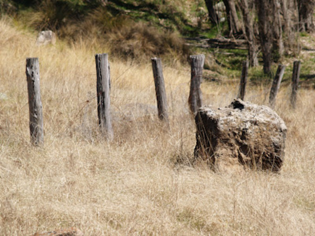 Rev W B Clarke find gold near Hartley.