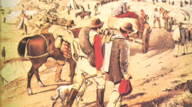 Timeline: Australian Gold Rush