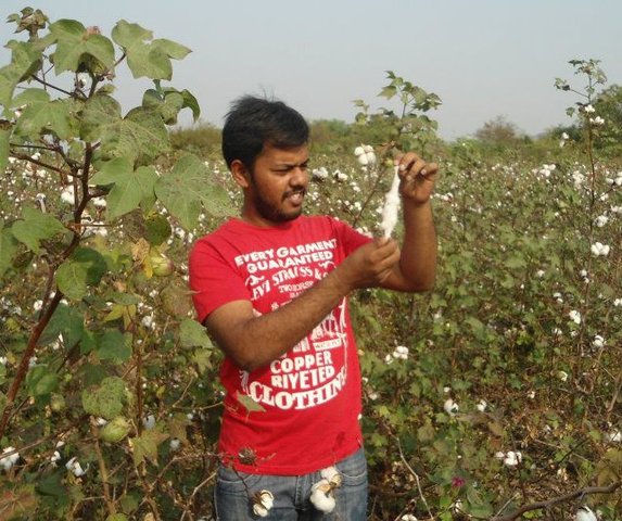 akhil examining cotton
