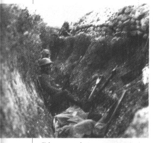 La guerra de los movimientos