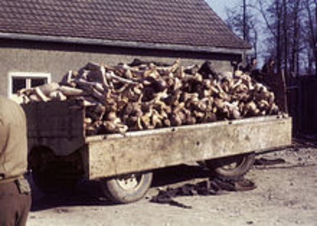 The Jewish Holocuast