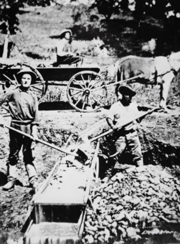 Prospectors Arrive From Overseas