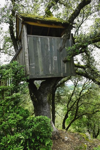 moms favorite toy family treehouse