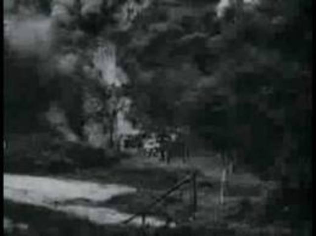 Unknown criminals pour more than 2.5 million liters of diesel oil and other hydrocarbons into the river Lambro, in Northern Italy, causing an environmental disaster.