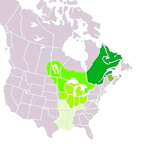 French Territory of Louisiana founded