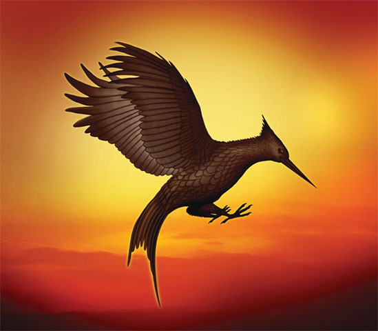 Day 5 of the Hunger Game