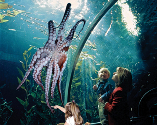 Toddlerhood: Social Development