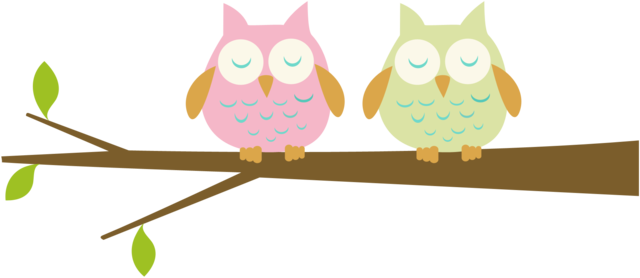 First Week of School - Owl Theme