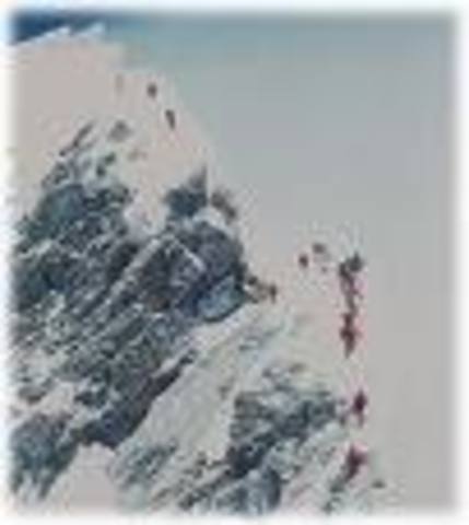 Fischer's crew is looking strong.