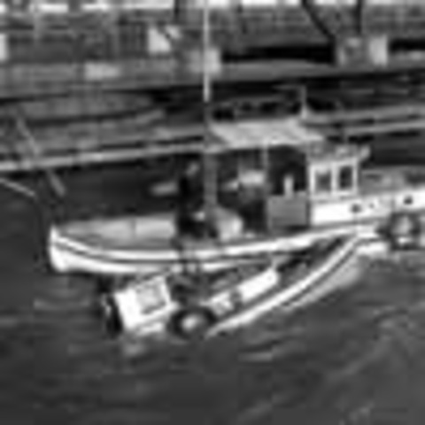 Japanese Fishing Vessel Disposal Committee