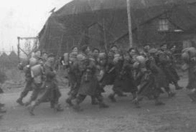 Netherlands Surrenders