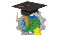 Timeline: ECONOMIA DESDE SIEMPRE HASTA HOY