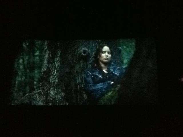 The Hunger Games Begin