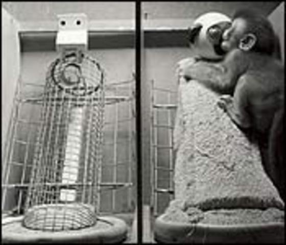1958 - Harry Harlow publishes The Nature of Love, which describe his experiments with rhesus monkeys on the importance of attachment and love.