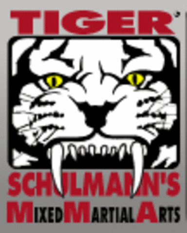 I began taking MMA classes at Tiger Schulmann's School of Mixed Martial Arts