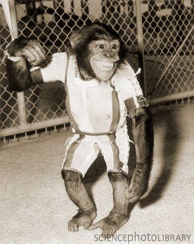 NASA launches a chimpanzee named Ham into space abioard a Mercury rocket