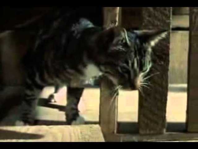 1898 - Edward Thorndike develops the Law of Effect. This is a key feature in the development of Skinner's radical BEHAVIOURISM.