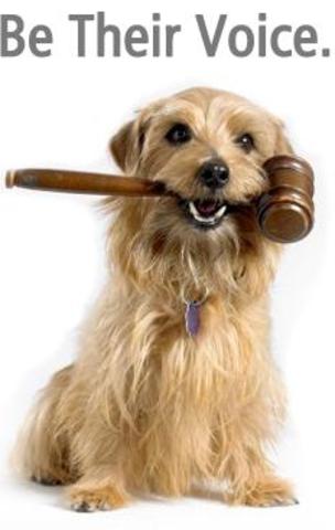 The Ethics of Animal Experimentation